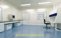 醫(yī)學(xué)BSLＧ２實(shí)驗(yàn)室檢測和驗(yàn)收要求